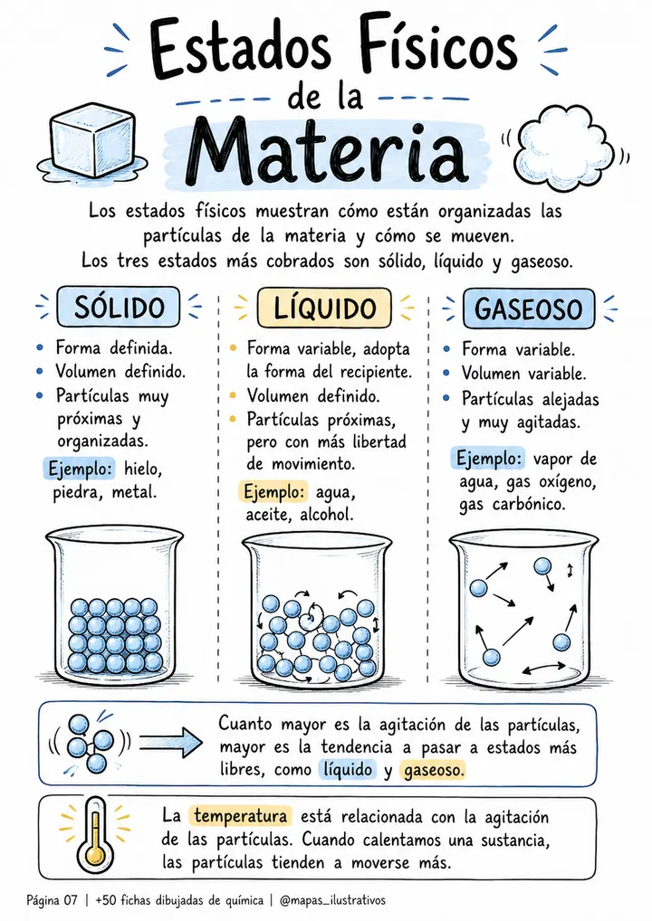 Ficha ilustrada 1