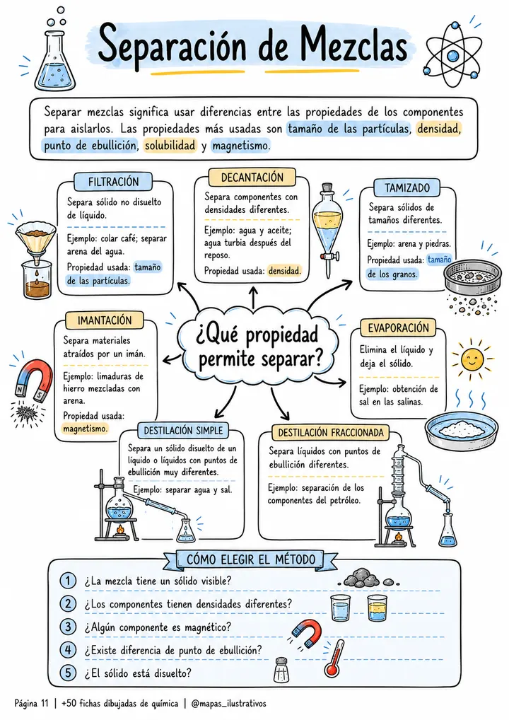 Ficha ilustrada 6